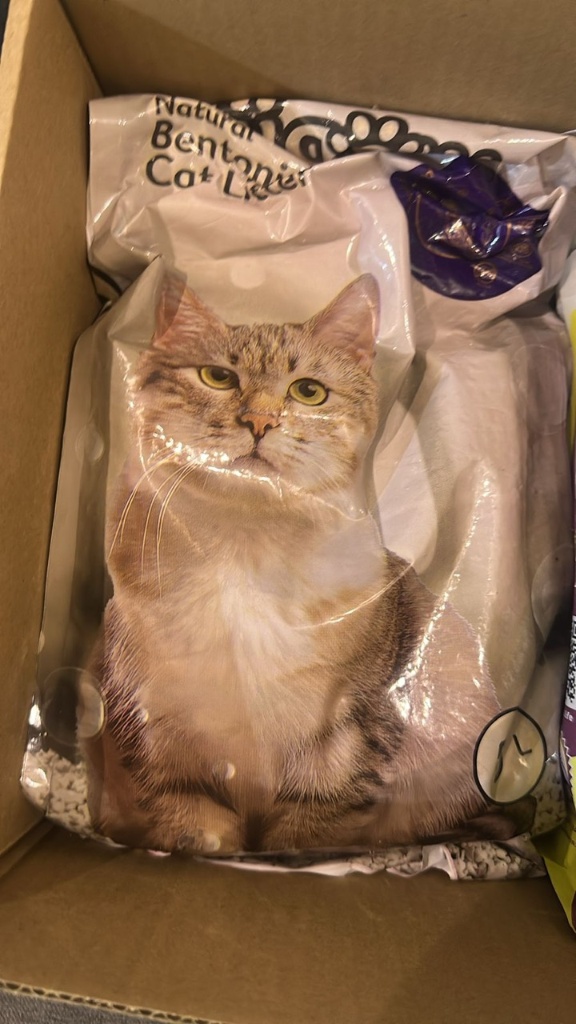 الباكج الشهري لقطتك 🐱 - صورة 6